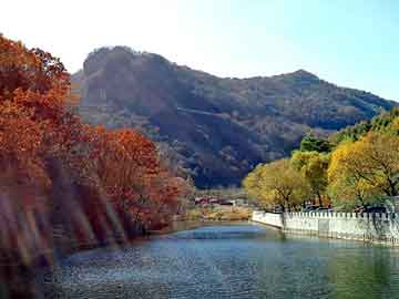 九龙帝景湾最新房价动态与市场分析